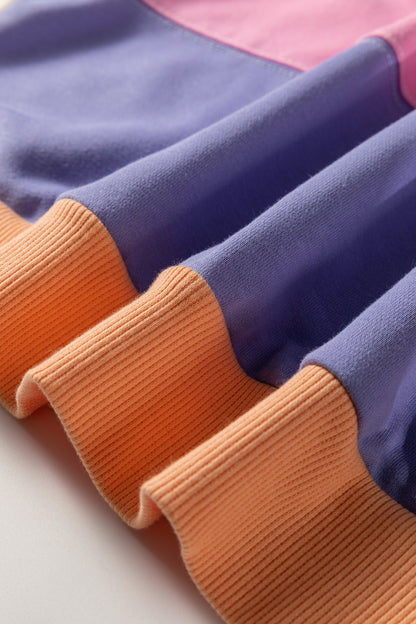 Phalaenopsis Color Block Patchwork Drop Shoulder Cropped Sweatshirt