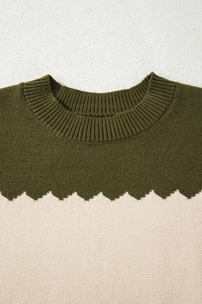 Brown Colorblock Crew Neck Drop Shoulder Sweater