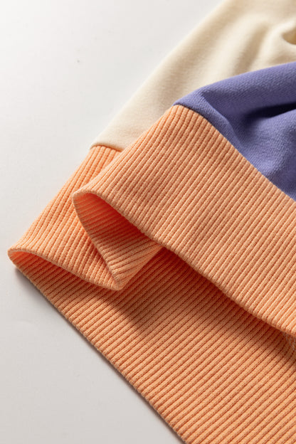 Phalaenopsis Color Block Patchwork Drop Shoulder Cropped Sweatshirt