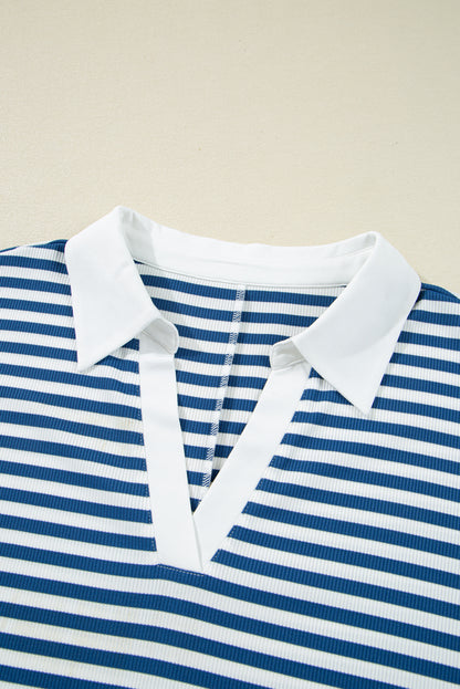 Blue Stripe Short Sleeve Collared V Neck Top Plus Size Skort Set