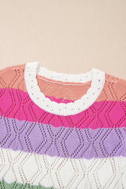 Rose Stripe Colorblock Hollowed Knit Scallop Edge Sweater Vest