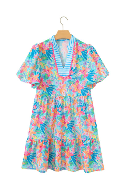 Multicolour Floral Print Contrast Scallop Striped Trim V Neck Dress